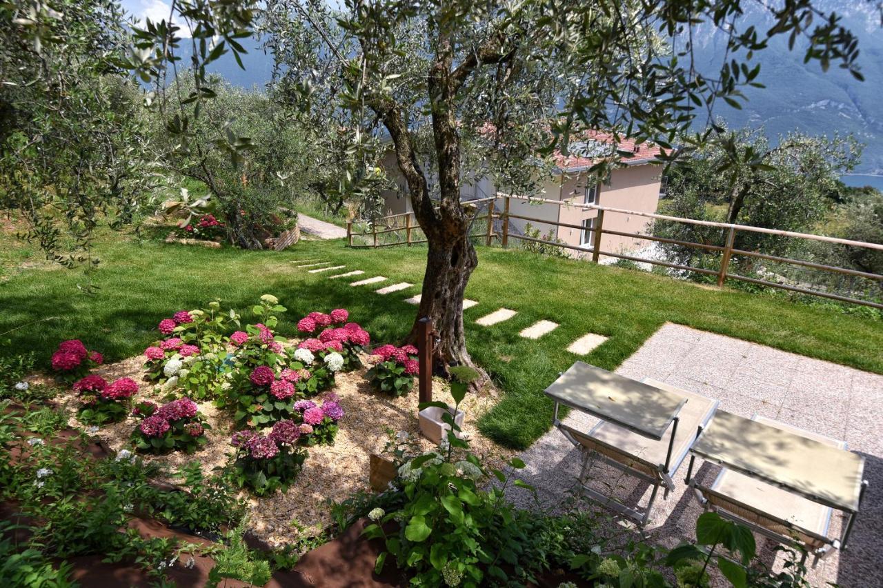 Holiday home Casa Negli Ulivi *