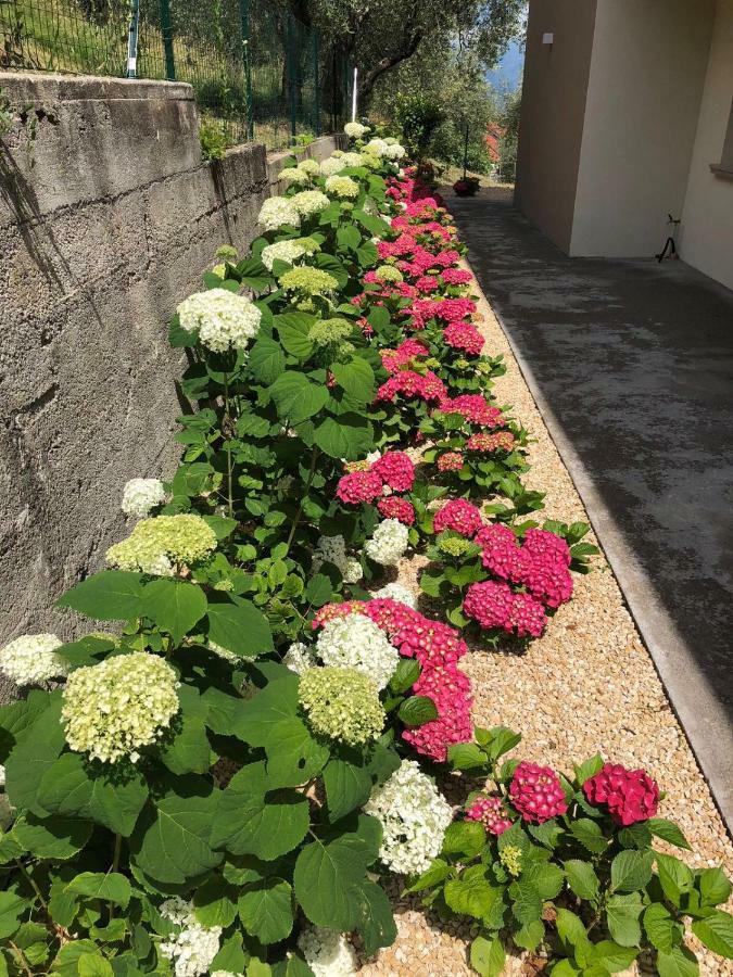 Holiday home Casa Negli Ulivi Tremosine